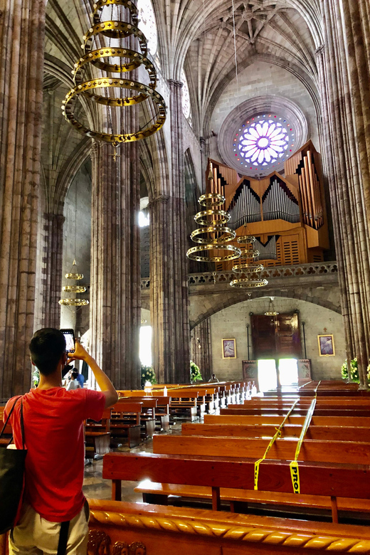 Private History and Architecture Walking Tour of Guadalajara - Key Points