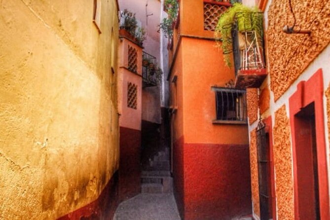 Private History & City Walking Tour of Guanajuato - Ideal for Visitors