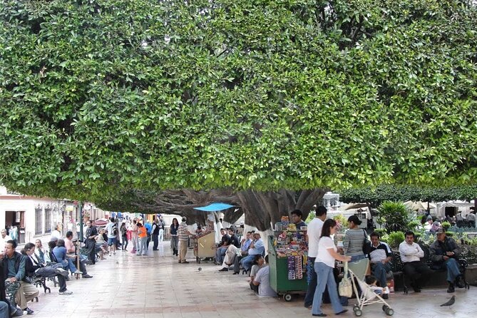 Private History & City Walking Tour of Guanajuato - Tour Highlights