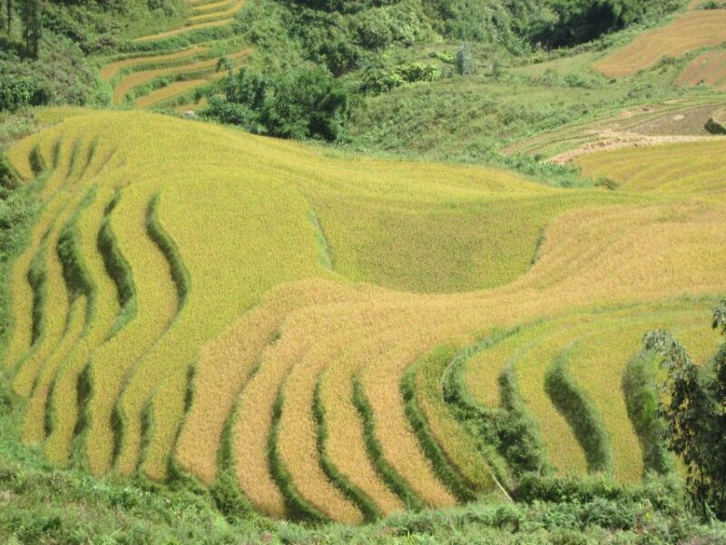 Private Hoang Lien National Park & Tribal Village Trek - Cultural Immersion