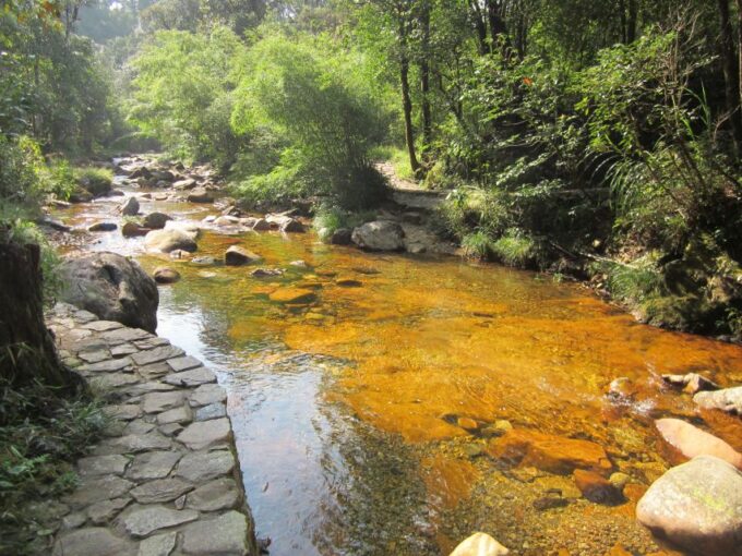 Private Hoang Lien National Park & Tribal Village Trek - Booking Information