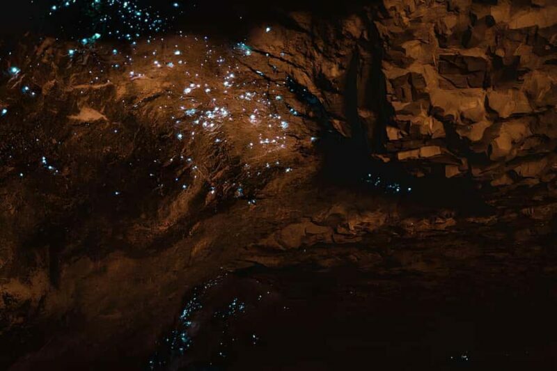 Private Hobbiton & Waitomo glowworm cave Day Trip - Final Thoughts: Is It Worth It?