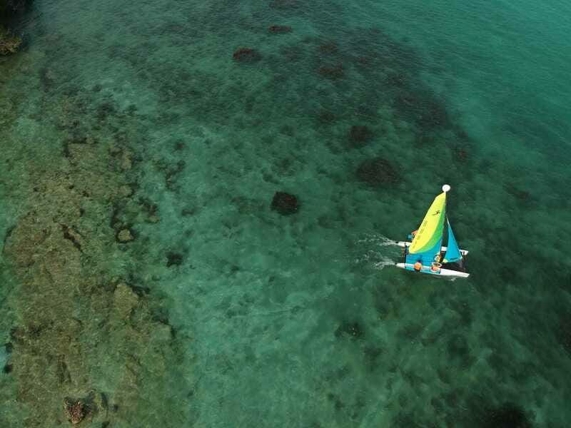 Private Hobie Cat Sailing Tour - Why This Tour Offers Real Value