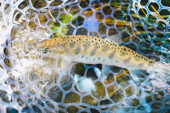 Private Hokkaido Fishing Tour With a Licensed Fisherman - Meeting Point and Pickup Details