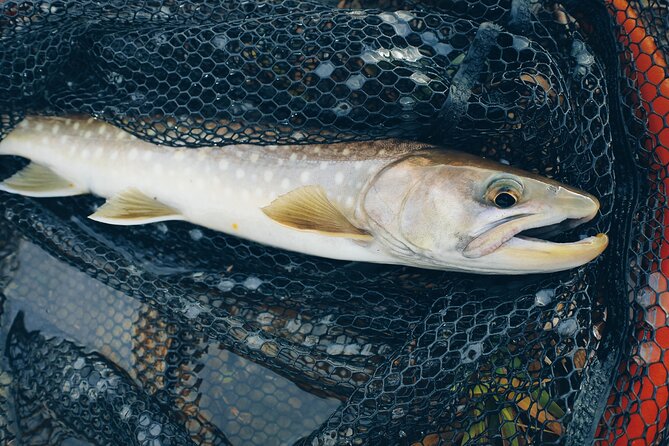 Private Hokkaido Fishing Tour With a Licensed Fisherman - Tour Schedule