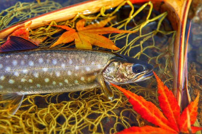 Private Hokkaido Fishing Tour With a Licensed Fisherman - Booking Confirmation and Payment Options