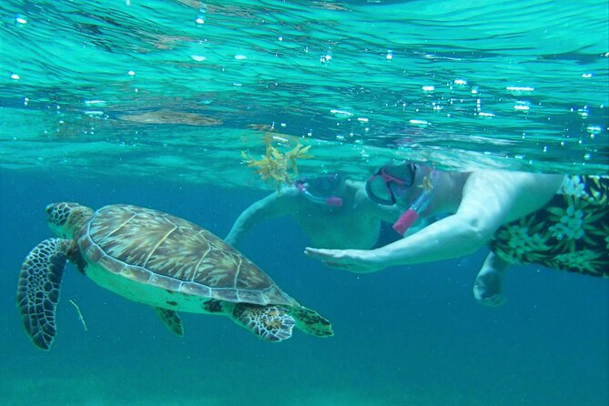 Private Hol Chan Morning or Sunset Half Day Charter - Itinerary and Duration