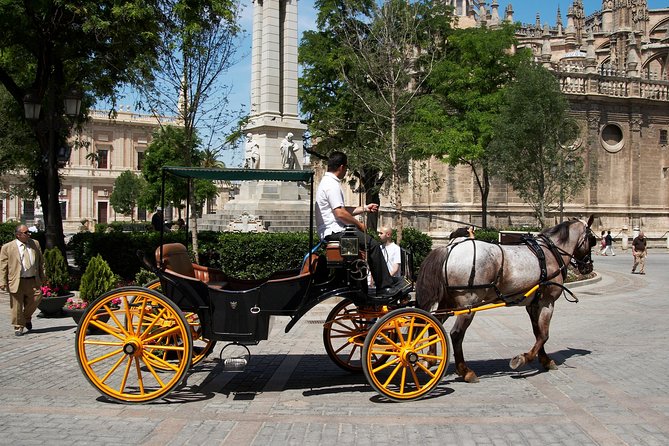 Private Horse Carriage Ride and Walking Tour of Seville - Private Guide Insights