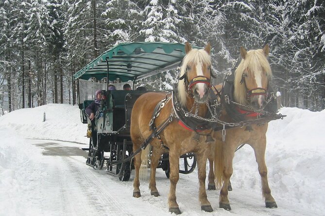 Private Horse-Drawn Sleigh Ride From Salzburg - Confirmation and Booking Information