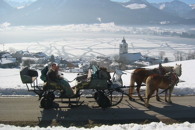 Private Horse-Drawn Sleigh Ride From Salzburg - Sleigh or Carriage Availability