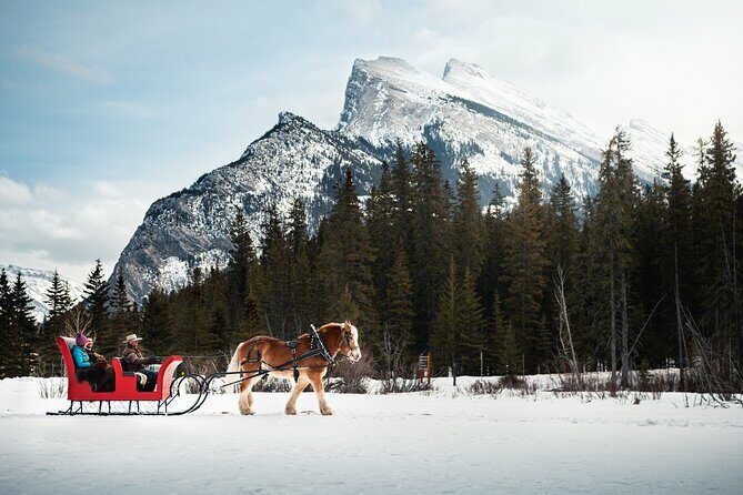 Private Horse-Drawn Sleigh Ride In Banff - Key Points