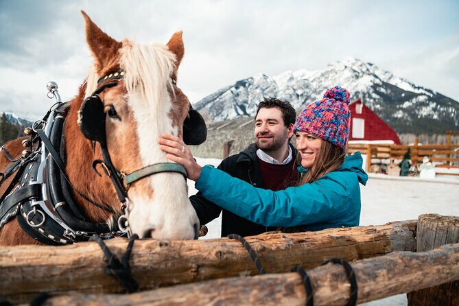 Private Horse-Drawn Sleigh Ride In Banff - Past Experiences and Feedback