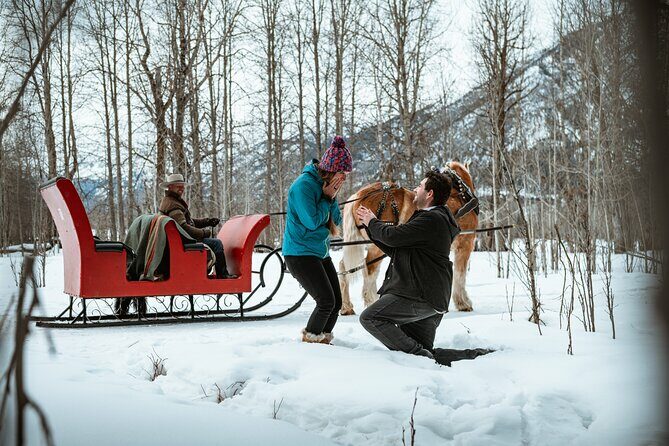 Private Horse-Drawn Sleigh Ride In Banff - Who Is This Tour Best For?