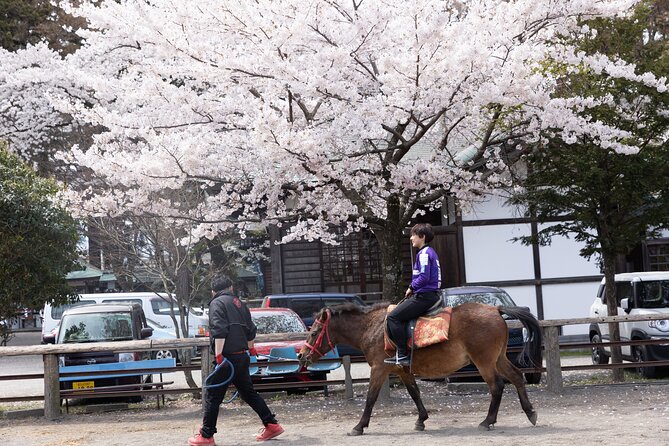 Private Horse Interaction & Sakura Experience Near Mt. Fuji - Location and Dates