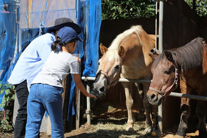 Private Horse Interaction & Sakura Experience Near Mt. Fuji - Meeting Point