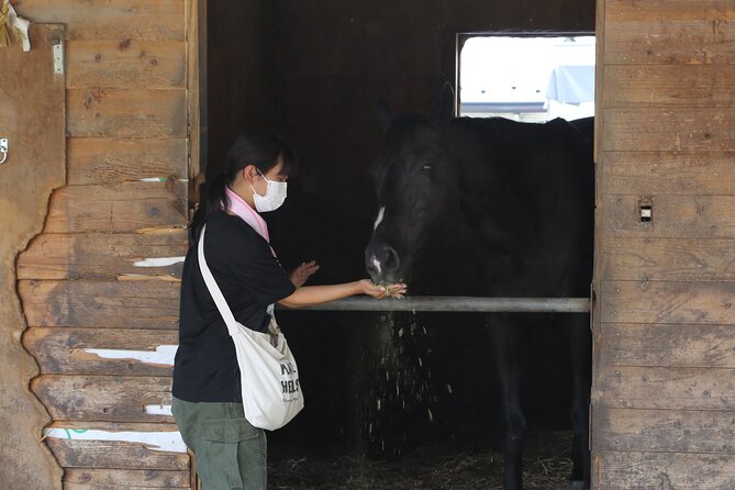 Private Horse Interaction & Sakura Experience Near Mt. Fuji - Booking Information
