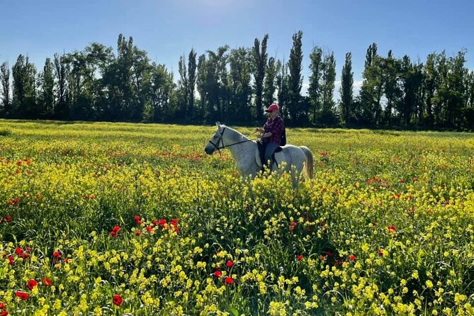 Private Horse Ridding Tour - Pricing and Reviews