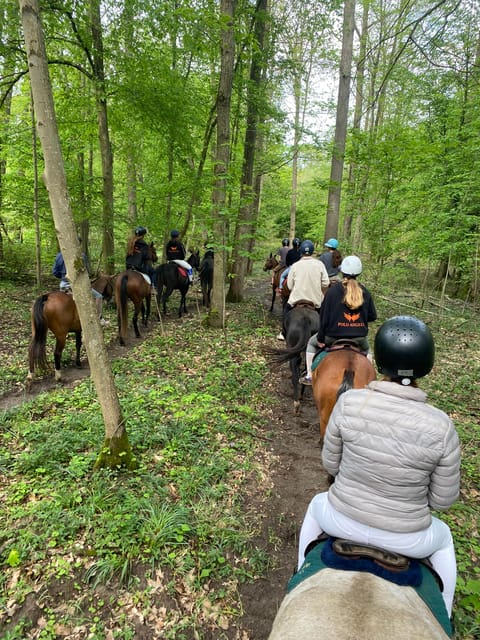 Private Horse Ride Experience - Itinerary