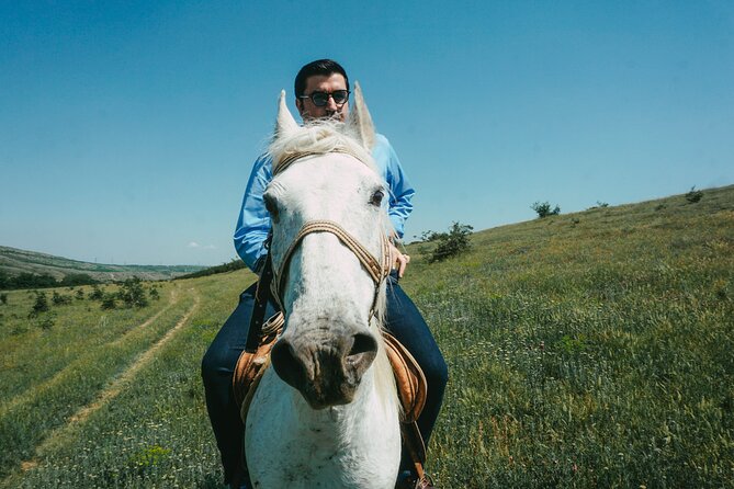 Private Horse Riding Adventure in Tbilisi - Accessibility and Limitations