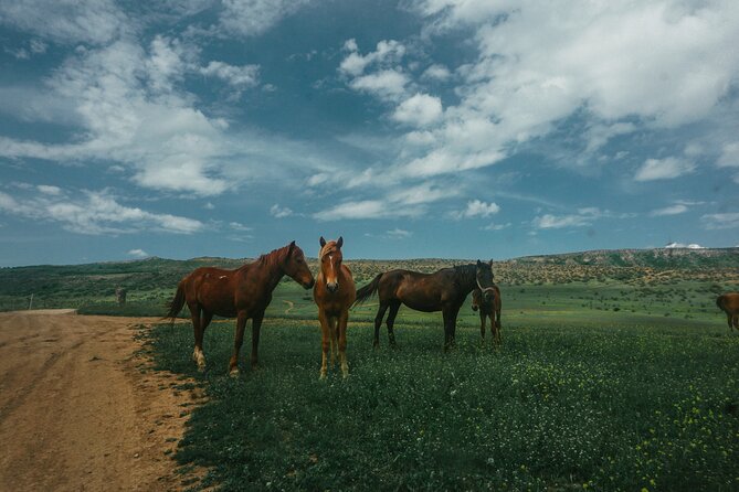 Private Horse Riding Adventure in Tbilisi - Booking Your Adventure