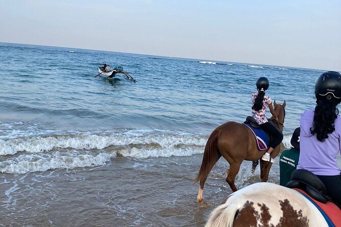 Private Horse Riding in Mount Lavinia - Exploring the Mount Lavinia Trails