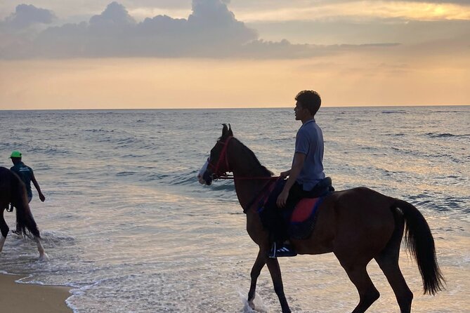 Private Horse Riding in Mount Lavinia - Sum Up