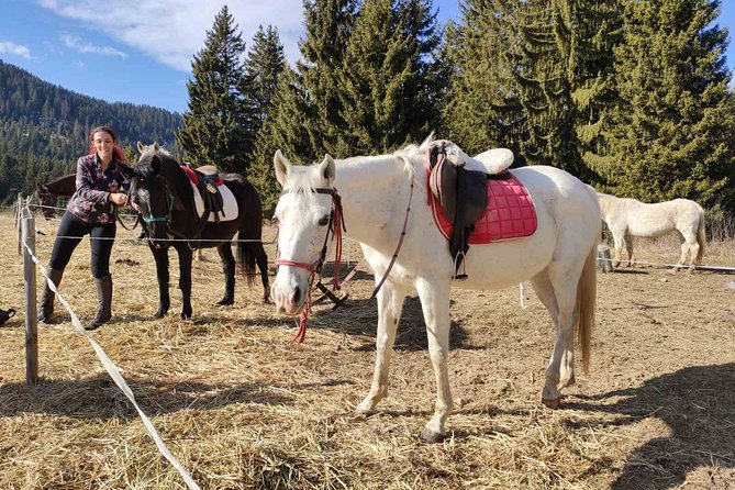 Private Horse Riding in Teteven Balkan From Sofia - Pricing and Cancellation Policy