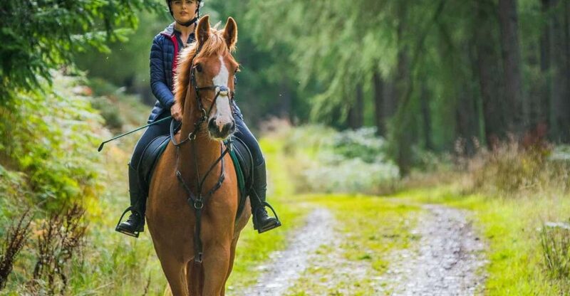 Private Horse Riding, Lake Kournas & Georgioupoli - Key Points