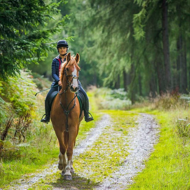 Private Horse Riding, Lake Kournas & Georgioupoli - Exploring Lake Kournas