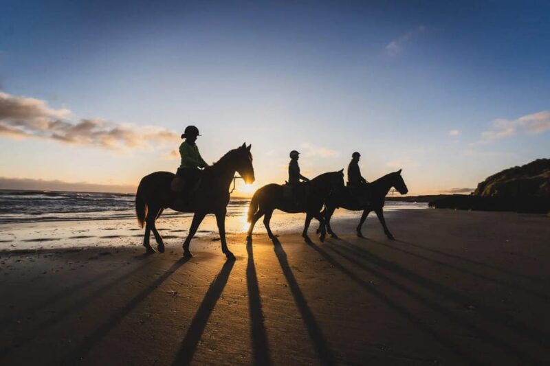 Private Horse Riding, Lake Kournas & Georgioupoli - Visiting Georgioupoli Beach