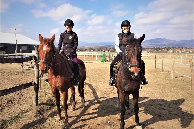 Private Horse Riding Near Budapest With Transport - Key Points
