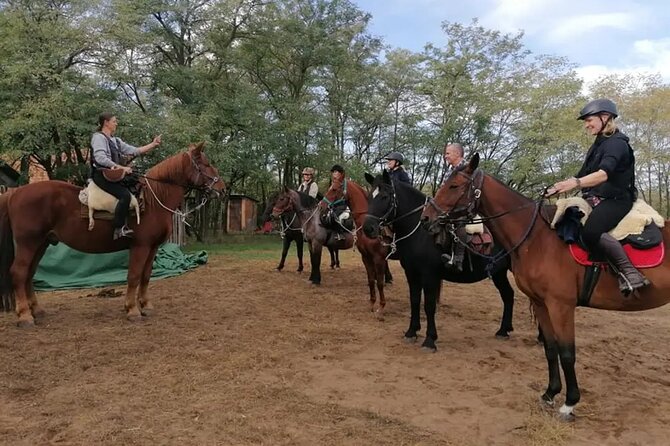 Private Horse Riding Near Budapest With Transport - Pricing and Booking