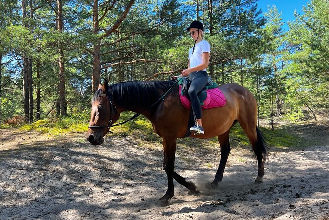 Private Horse Riding on the Beach in Riga - Interaction With Horses
