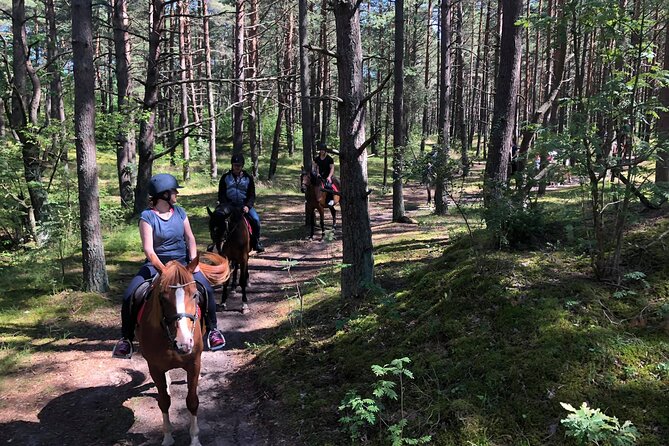 Private Horse Riding on the Beach in Riga - Ideal for All Levels