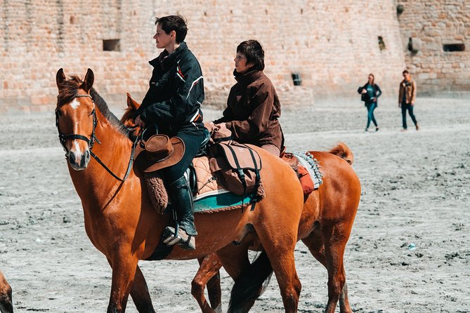 Private Horse Riding Route in Doñana Natural Park - Reviews