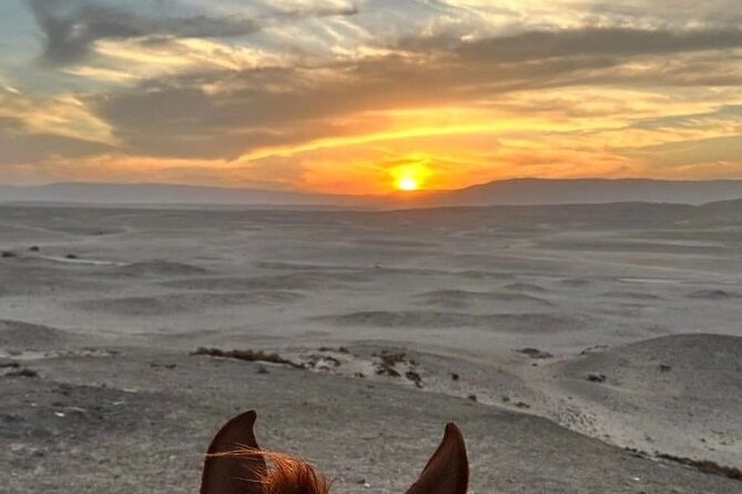 Private Horse Riding Tour in Luxor West Bank - What to Expect
