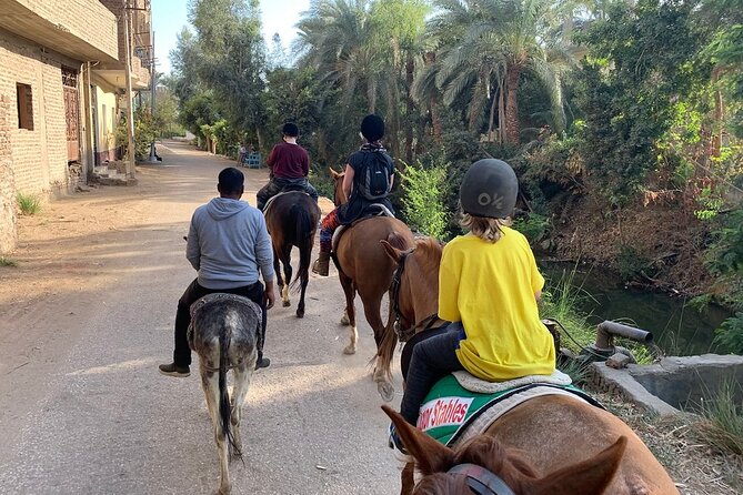Private Horse Riding Tour in Luxor West Bank - Tour Highlights