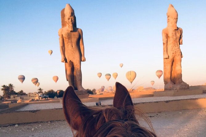 Private Horse Riding Tour in Luxor West Bank - Customization Options