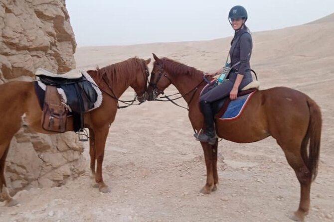 Private Horse Riding Tour in Luxor West Bank - Safety Considerations