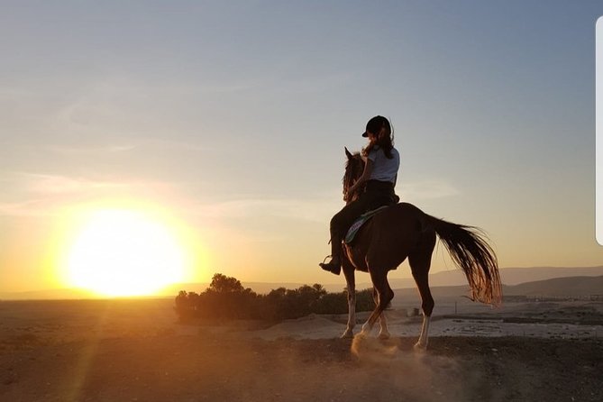 Private Horse Riding Tour in Luxor West Bank - Guest Reviews