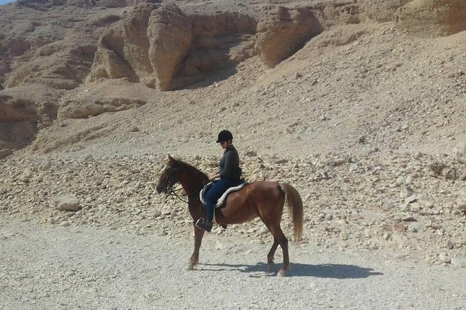 Private Horse Riding Tour in Luxor West Bank - Booking Information