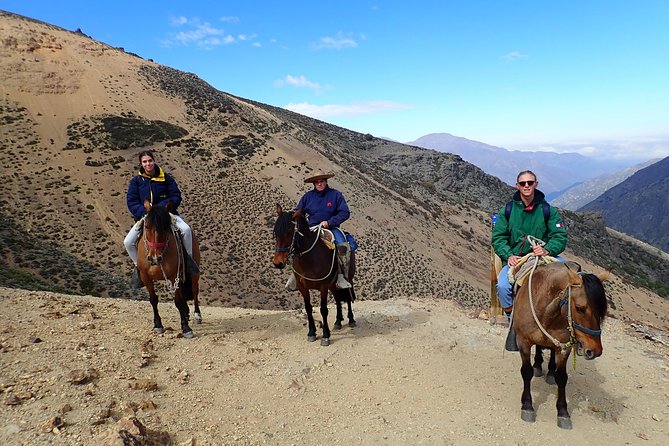 Private Horse Riding Tour in the Andes From Santiago, Carbon Neutral - Key Points
