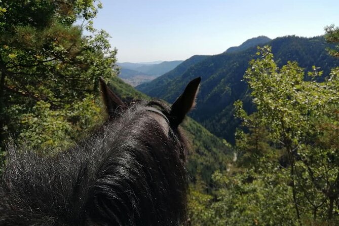 Private Horse Riding Tour To the Perelik Top in Smolyan - Horse Riding Experience