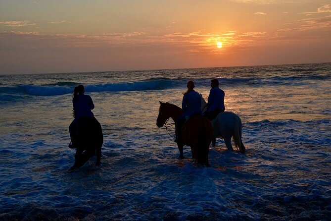 Private Horseback and La Bufadora Shore Excursion - La Bufadora Geyser Visit