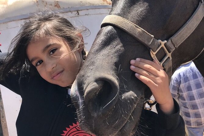Private Horseback and La Bufadora Shore Excursion - Additional Tour Activities