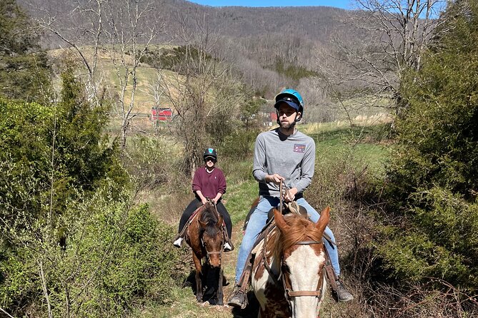 Private Horseback Experience in Appalachian Mountains - Overview of the Experience