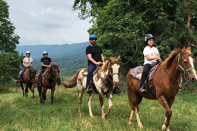 Private Horseback Experience in Appalachian Mountains - Preparing for the Adventure