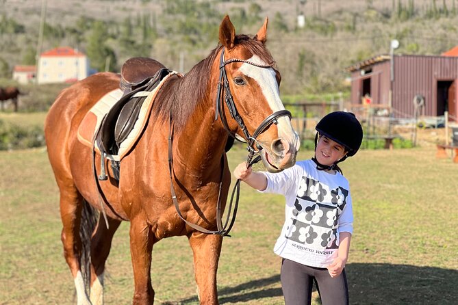 Private Horseback Riding and Family Time in Konavle Region - About Your Stay