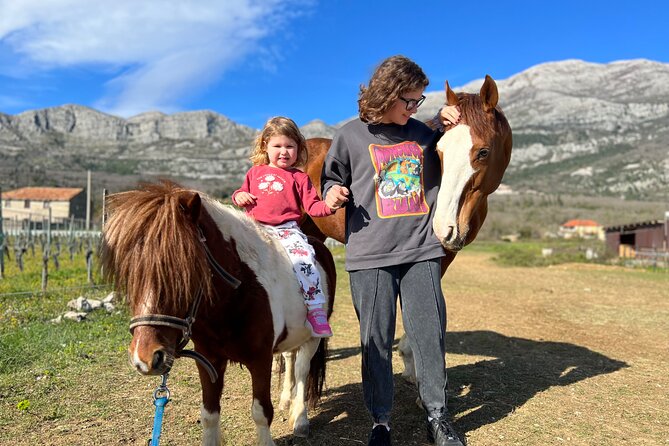Private Horseback Riding and Family Time in Konavle Region - Accessibility and Medical Considerations