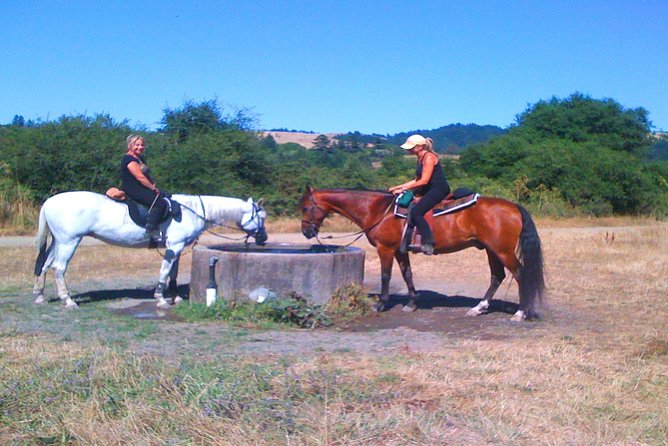 Private Horseback Riding and Muir Woods Adventure From San Francisco - Key Points
